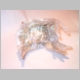 hand of pearl2.JPG